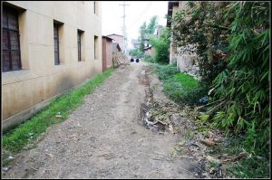 張遷新農村 張遷新農村