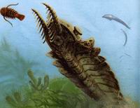 寒武紀生命大爆發