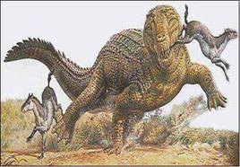 鋸齒鱷類 鋸齒鱷類