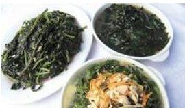 藿朴夏苓湯 藿朴夏苓湯