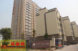 天華·領秀城 天華·領秀城