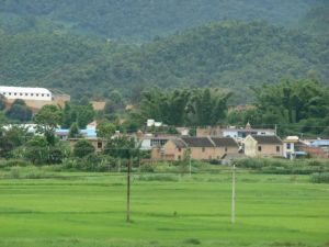 曼亂回村 曼亂回村