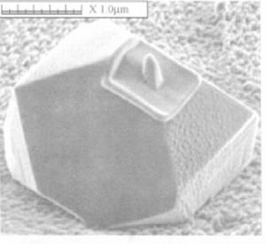 離子束顯微鏡 離子束顯微鏡