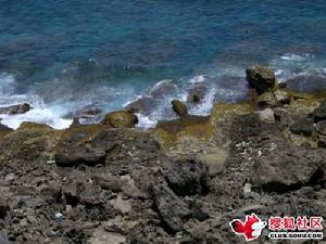 墾丁森林遊樂區