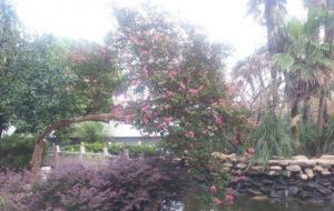 武進藝林園 武進藝林園