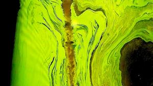 藻類能夠捕捉和存儲二氧化碳