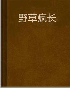 野草瘋長 野草瘋長