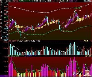 日換手率 日換手率