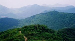 被譽為“南京綠肺、江北明珠”的浦口老山