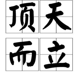 頂天而立 頂天而立