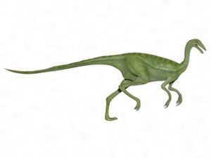 似鳥龍(似鳥龍科) 似鳥龍(似鳥龍科)