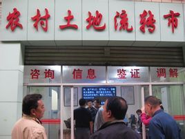 農村土地流轉 農村土地流轉