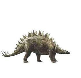 多背棘沱江劍龍