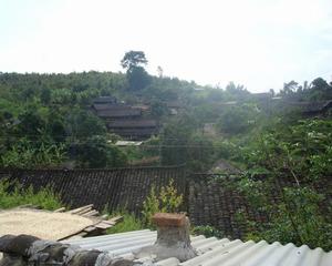 老黃墳自然村 老黃墳自然村