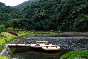 金坑森林公園 金坑森林公園