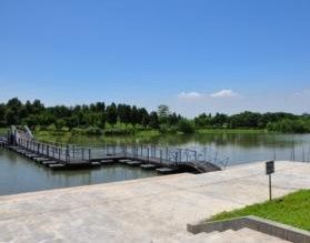 紫嶺鳴嚶 紫嶺鳴嚶