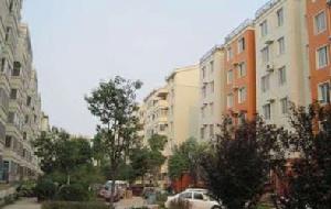 文雅金印花苑 文雅金印花苑