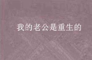我的老公是重生的 我的老公是重生的