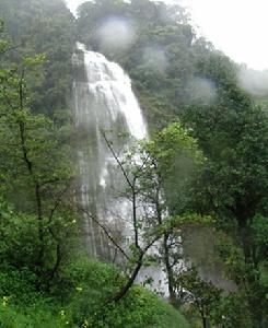 無量山自然保護區