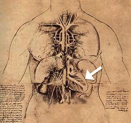 心臟異位 心臟異位