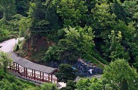 甘山森林公園 甘山森林公園