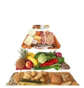 飲食護理 飲食護理