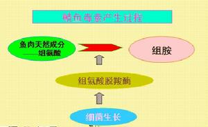 鯖魚毒素 鯖魚毒素