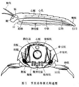 介質擊穿 介質擊穿