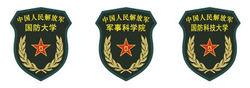 中國人民解放軍院校臂章