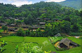 大寨村[雲南省臨滄市雲縣大寨鎮下轄村]