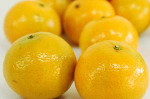 黃帝貢柑 黃帝貢柑