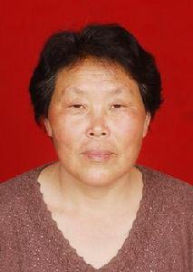 劉艷玲[鄭州大學商學院教授]