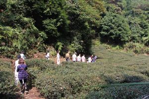 青龍鄉[四川省平樂縣青龍鄉]