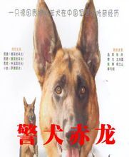 警犬赤龍 警犬赤龍