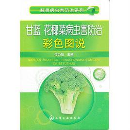 甘藍花椰菜病蟲害防治彩色圖說 甘藍花椰菜病蟲害防治彩色圖說