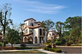 山湖鷺島 山湖鷺島