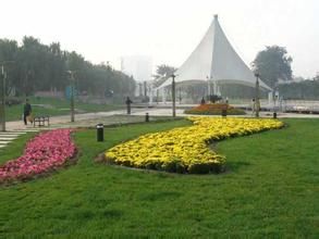 溫州綠色樂園 溫州綠色樂園