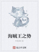 海賊王之勢 海賊王之勢