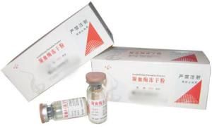 凝血酶凍乾粉 凝血酶凍乾粉