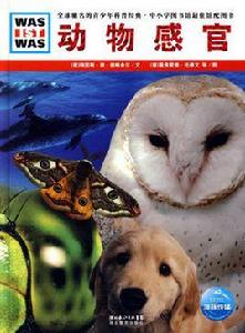 動物感官 動物感官