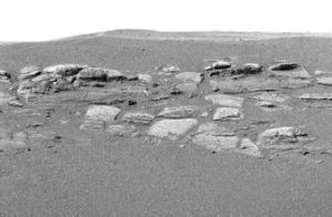 沉積質海岸 沉積質海岸