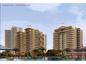 石家莊棕櫚灣 石家莊棕櫚灣