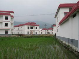 新圩梧村 新圩梧村