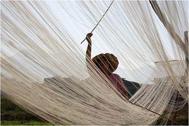 穆陽線面 穆陽線面