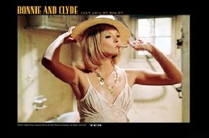 徳德·艾倫作品《雌雄大盜》