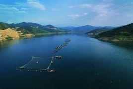 紅水河鎮 紅水河鎮