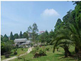 鼓嶺旅遊度假區 鼓嶺旅遊度假區