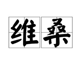 維桑[漢語詞語]
