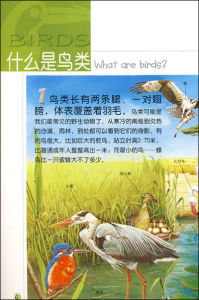 《你一定要知道的100個鳥類奧秘》