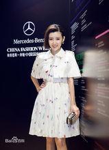 芭莎慈善活動及時尚匯